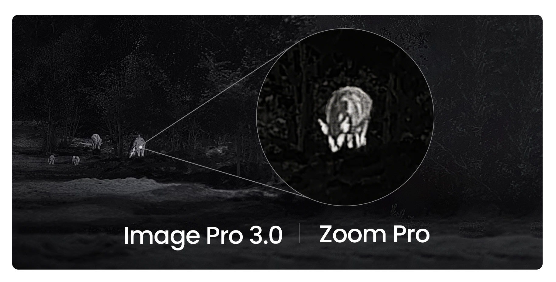Image PRO 3.0 | ZOOM PRO