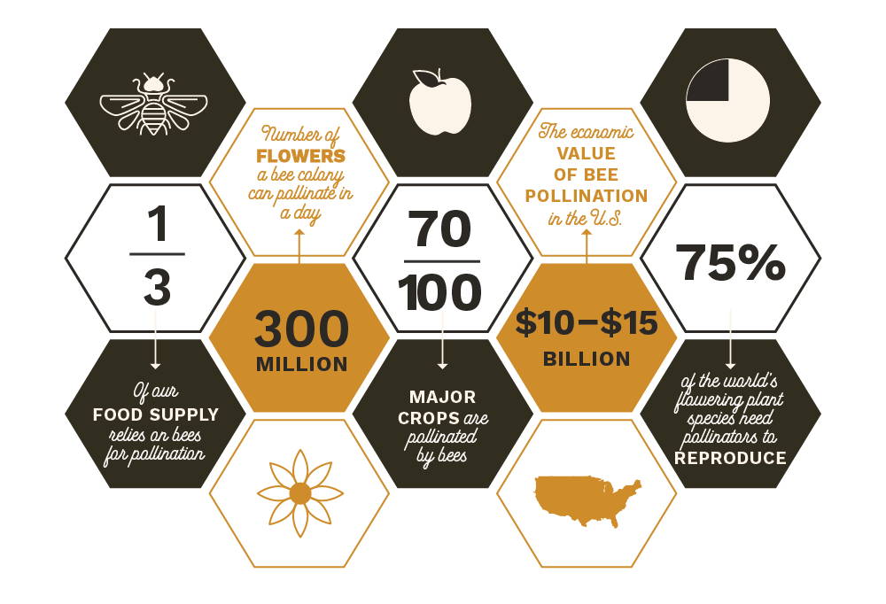 An infographic of pollination statistics