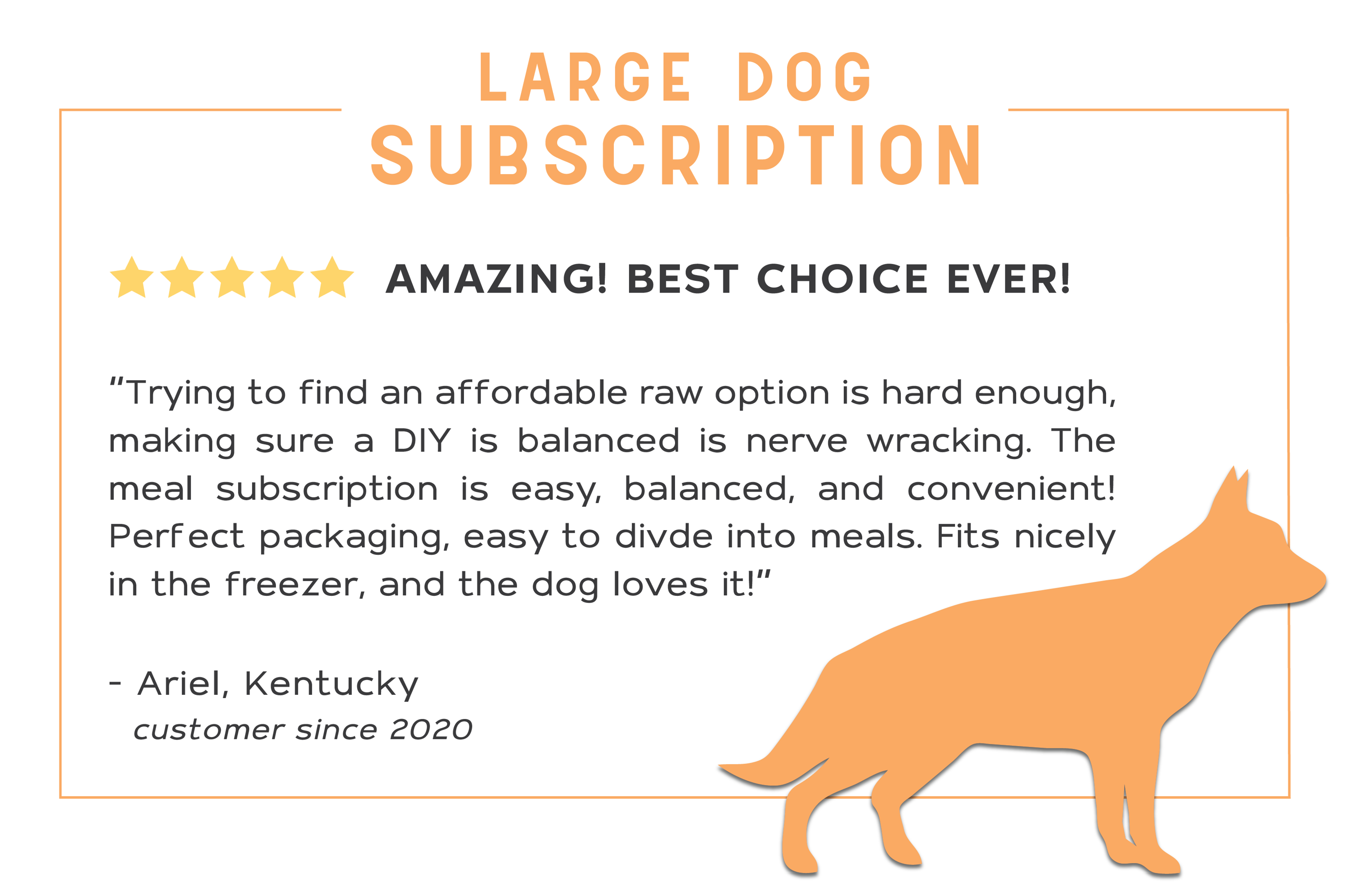Customer review explaining why they love the large dog subscription.