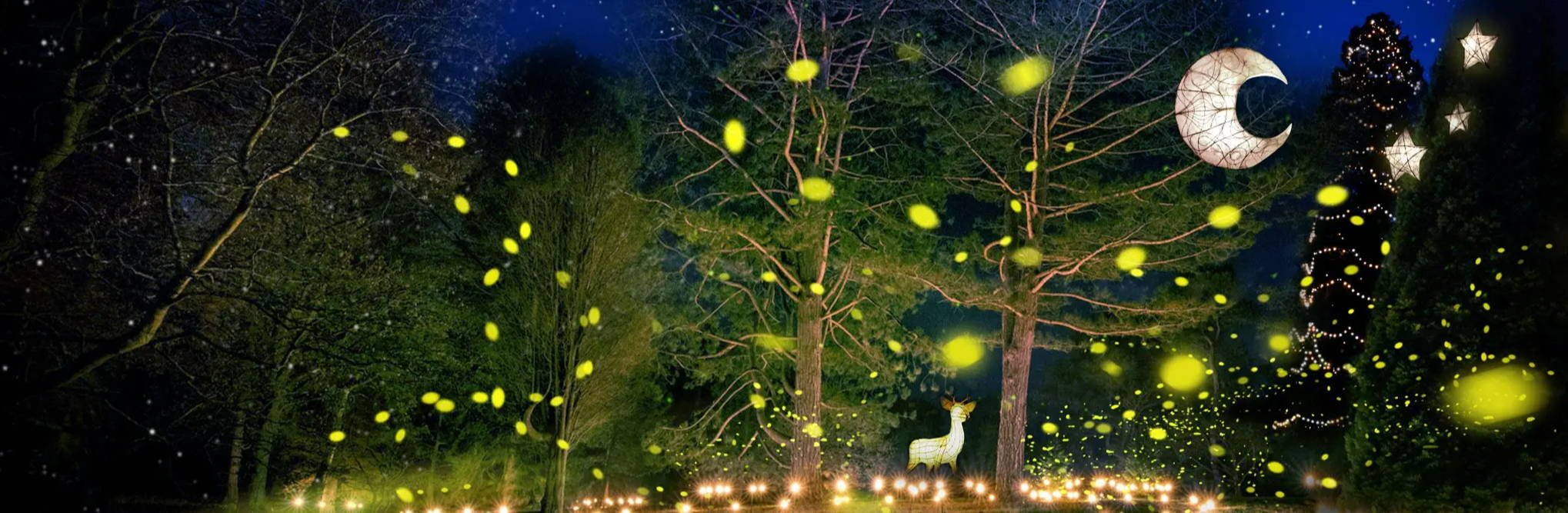 A screen of a magical forest setting with an illuminated moon and  reindeer.