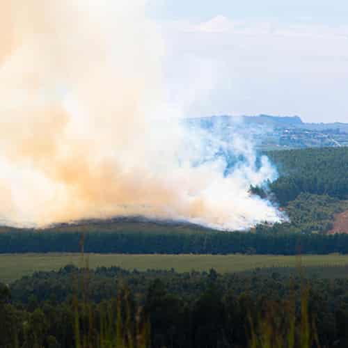 environmental risk