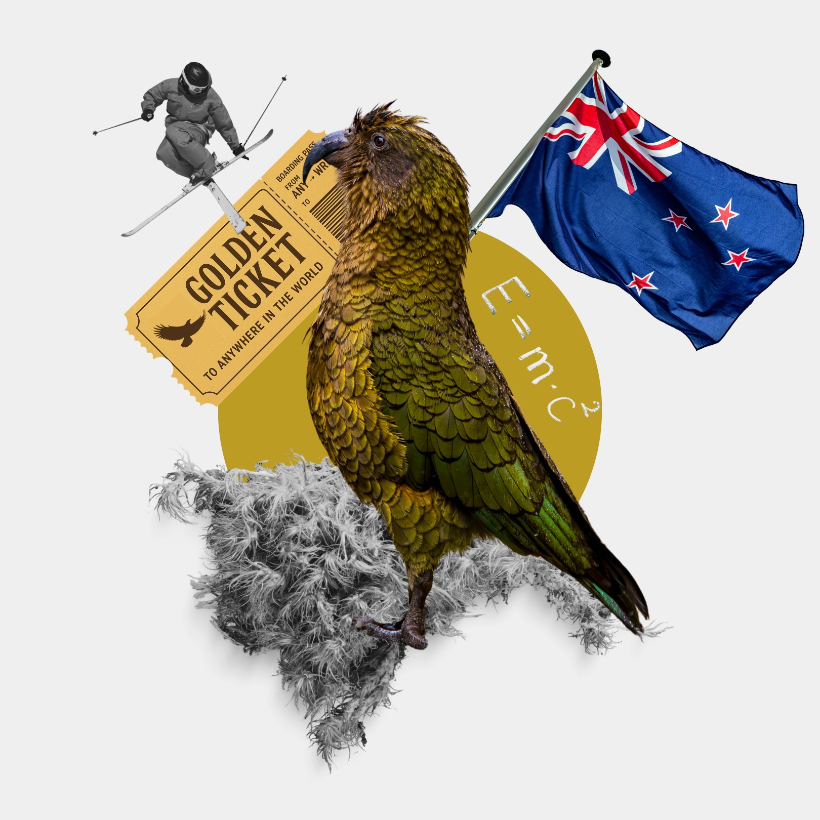 Kea bird from new Zealand with flag and skiier image