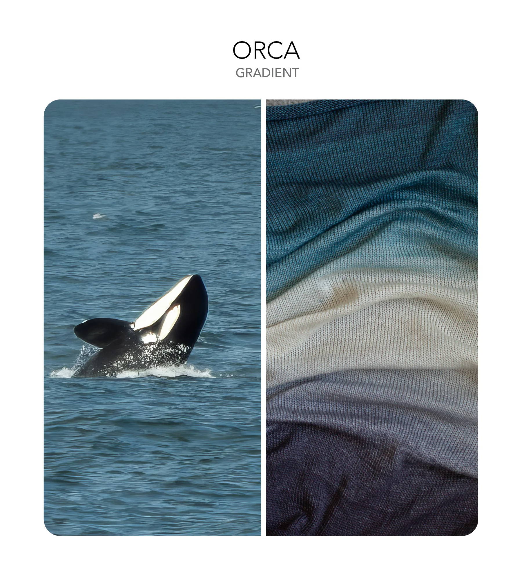 orca and ocean gradient yarn