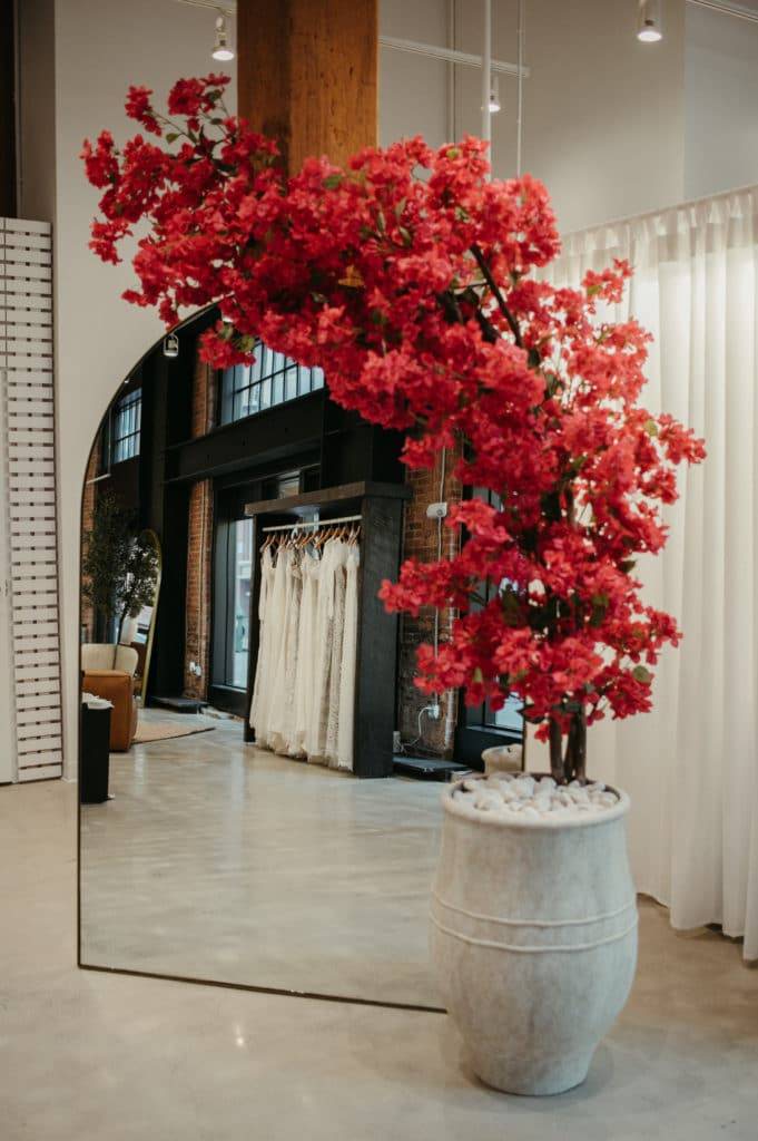 Bougainvilliers roses dans une plante en pot au-dessus d'un miroir arqué