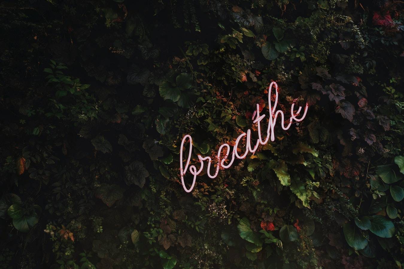 Breath Neon Signage Photo