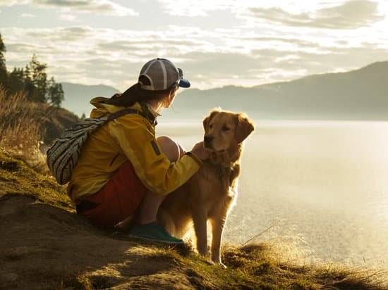 A woman and a golden retriever sitting on a ledge looking out at the lake.