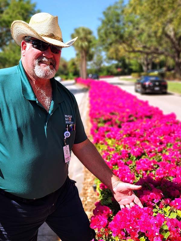 Dave Greenfield's Secret to Stunning Bougainvillea at Pelican Bay:  Trimtect™ - Rainbow Ecoscience