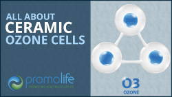 Ceramic Ozone Cells