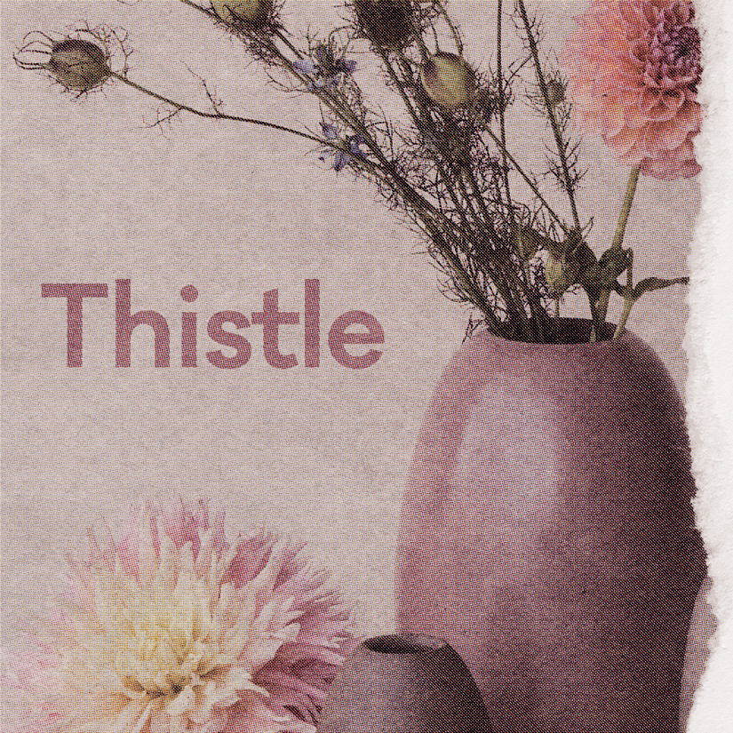 Thistle Spotify Playlist