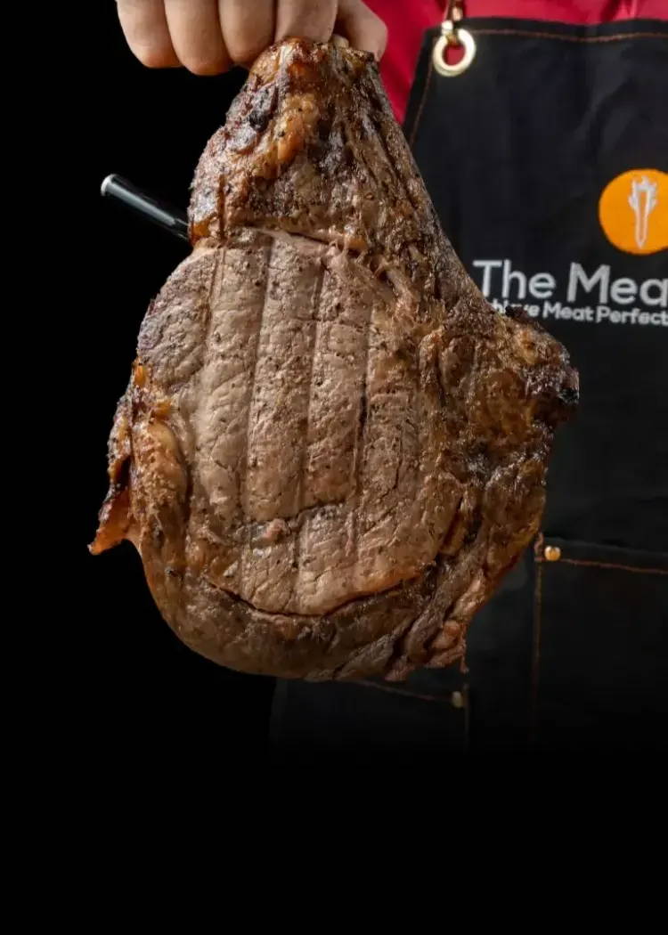 The MeatStick is the best wireless meat thermometer
