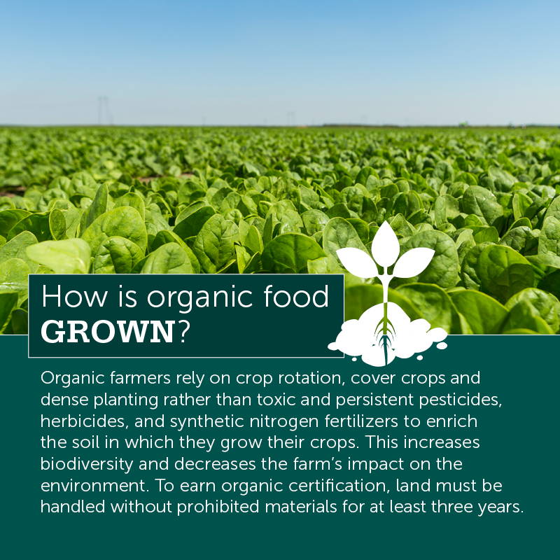 High Quality Organics Express How is Organic Food Grown