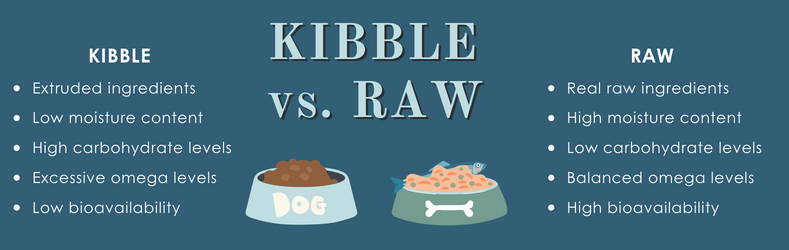 Compare and contrast benefits of raw food vs kibble for dogs.