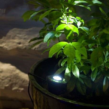 The Real Truth About Solar Lights, Indoor Solar Lights For Plants