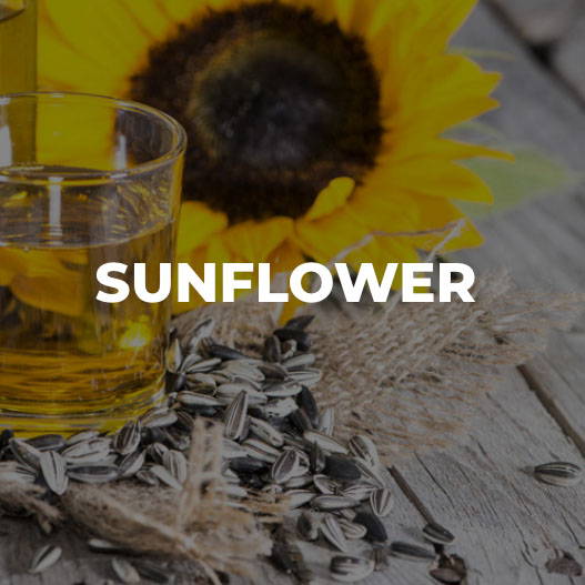 Ozonated Sunflower Oil